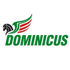 Logo Dominicus Shipping